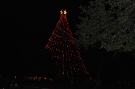 2013-12-20 19-35-13 Trail of Lights.jpg